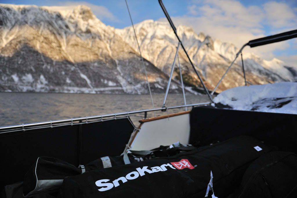 SnoKart 2 Ski Zoom Roller  Bags
